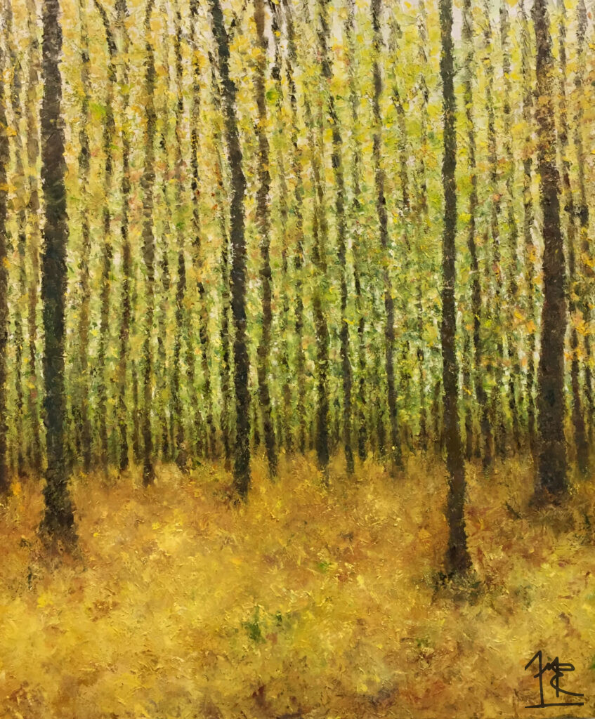 Susquehannock Forest #5